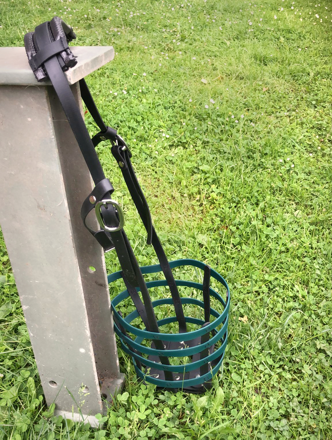 Fressbremse Dunkelgrün mit Nackenpolster